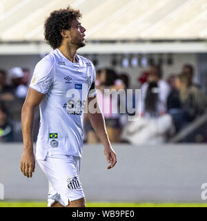 Il Santos, Brasile. 25 Ago, 2019. 0 al tempo di emisaturazione. Credito: Richard Callis/FotoArena/Alamy Live News Foto Stock