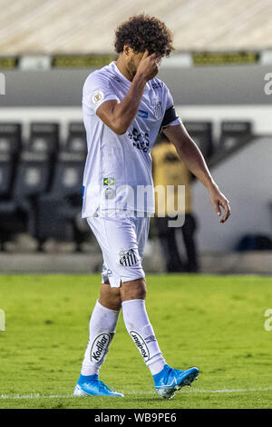 Il Santos, Brasile. 25 Ago, 2019. 0 al tempo di emisaturazione. Credito: Richard Callis/FotoArena/Alamy Live News Foto Stock