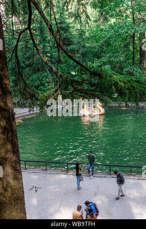 Manali, Himachal Pradesh, India - 7 Maggio 2019 : fotografia di turista godendo la nautica in van vihar parco nazionale in Himalaya Foto Stock