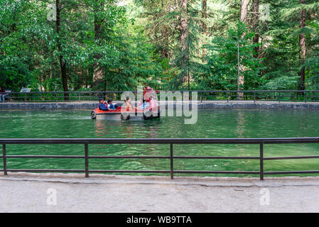 Manali, Himachal Pradesh, India - 7 Maggio 2019 : fotografia di turista godendo la nautica in van vihar parco nazionale in Himalaya Foto Stock