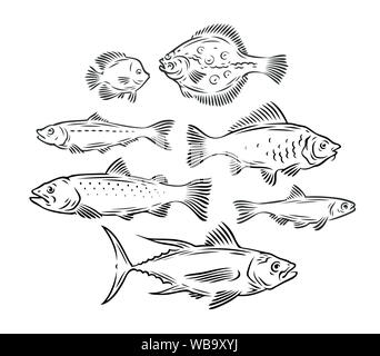 Vari set di pesci. Frutti di mare, disegno di pesca vettore illustrazione Illustrazione Vettoriale