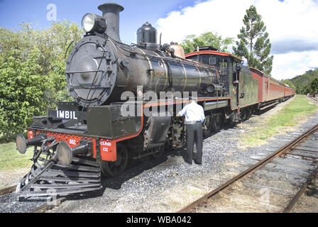 Valley Rattler 1920s heritage treno a vapore, fornire al turista la possibilità di viaggiare in uno dei Queensland più scenografici linee ferroviarie attraverso la Maria Foto Stock