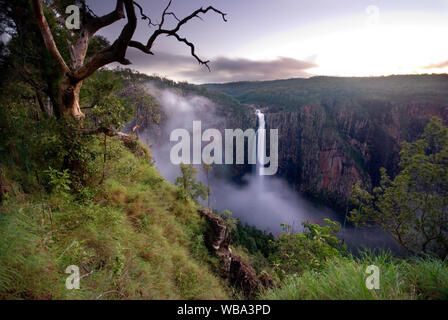 Cascate Wallaman (340m). Australia più alta cascata permanente con un iniziale una sola goccia di 268m. Foto Stock
