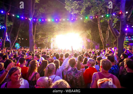 Budapest, Ungheria. 09Aug, 2019. La folla durante il Sziget Festival. Il Sziget Festival è uno dei più grandi della musica e festival culturali in Europa. Esso si svolge ogni agosto nel nord di Budapest. (Foto di Luigi Rizzo/Pacific Stampa) Credito: Pacific Press Agency/Alamy Live News Foto Stock