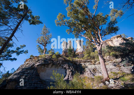 Per i camini, tre pilastri di pietra arenaria erosa. Montare Moffatt sezione, Carnarvon National Park Central Queensland, Australia Foto Stock