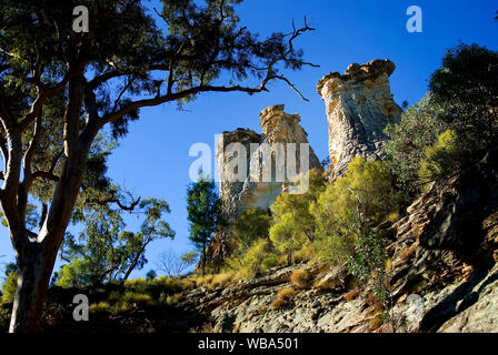 Per i camini, tre pilastri di pietra arenaria erosa. Montare Moffatt sezione, Carnarvon National Park Central Queensland, Australia Foto Stock