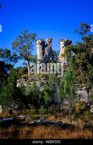 Per i camini, tre pilastri di pietra arenaria erosa. Montare Moffatt sezione, Carnarvon National Park Central Queensland, Australia Foto Stock