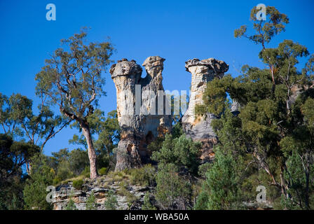 Per i camini, tre pilastri di pietra arenaria erosa. Montare Moffatt sezione, Carnarvon National Park Central Queensland, Australia Foto Stock