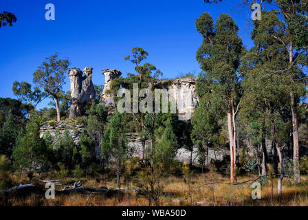 Per i camini, tre pilastri di pietra arenaria erosa. Montare Moffatt sezione, Carnarvon National Park Central Queensland, Australia Foto Stock