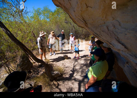 Cobbold Gorge, guida per spiegare alcuni degli oggetti che si trovano in un aborigeno campeggio. Robin Hood stazione, vicino a Georgetown, Golfo di Savannah, Queenslan Foto Stock