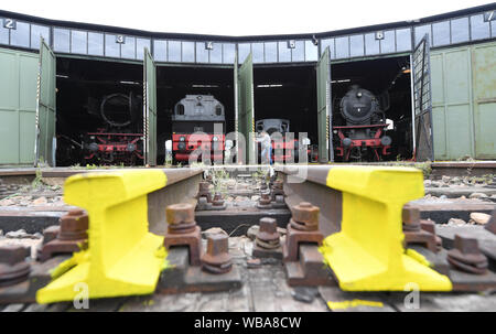 20 agosto 2019, Assia, Darmstadt: Uwe Breitmeier, primo presidente del mondo ferroviario Darmstadt-Kranichstein, apre un gate della locomotiva sparso sul terreno del museo in cui storico di locomotive a vapore si trovano. Sulla vasta area dell'ex Darmstadt cantiere di smistamento si possono sperimentare la storia ferroviaria. Fondata nel 1970 con la ferrovia appassionati, l'associazione ha raccolto e procurato 45 locomotive, intorno a 150 carri e macchine per le riparazioni e la manutenzione. (A dpa "Ferrovia romanticismo ha il suo prezzo - circa 50 museo delle ferrovie in Germania") Foto: Arne Dedert/dpa Foto Stock