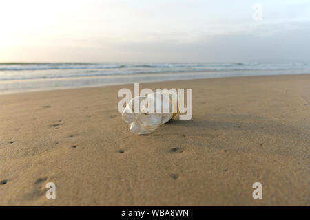 Durban, Sud Africa, plastica inquinamento, unico in plastica PET per bottiglie di bevande lavato fino sulla spiaggia, illustrazione, imballaggi alimentari, oggetto, sfondo Foto Stock