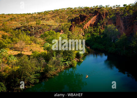 Gola superiore, sul prato Hill Creek,. Boodjamulla (Lawn Hill) Parco Nazionale, Northwest Queensland, Australia Foto Stock