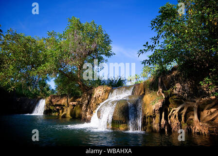 Indarri cade sul prato Hill Creek, dalla gola superiore a metà Gorge.. Boodjamulla (Lawn Hill) Parco Nazionale, Northwest Queensland, Australia Foto Stock