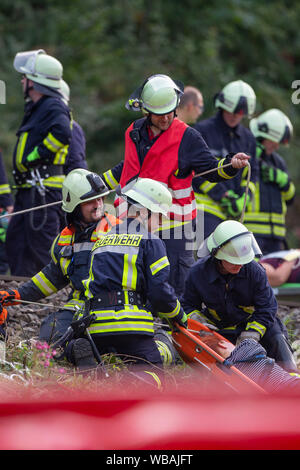 24 agosto 2019, Sassonia, Bad Schandau: servizi di emergenza trasportare i feriti per le ambulanze in piedi sulle rive del fiume Elba. Nello scenario dell'esercitazione si ipotizza che una grave situazione di tempesta con forti precipitazioni e tempeste prevarrà nella zona della capitale dello stato di Dresda come pure nei distretti di Bautzen e sassoni Switzerland-Osterzgebirge per diversi giorni. Intorno a 5 p.m., un treno EC con 300 passeggeri sarà in viaggio verso Praga nella valle dell'Elba, vicino al confine con la Repubblica ceca, dove sarà colpito da una frana causata dalla persistente rainfa Foto Stock