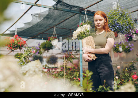 Donna che lavorano in serra di fiori Foto Stock