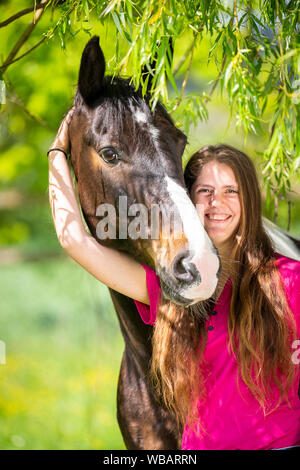Cavalli domestici. Pinto (Pony irlandese) smooching con la donna unter rametti di salice. Svizzera Foto Stock