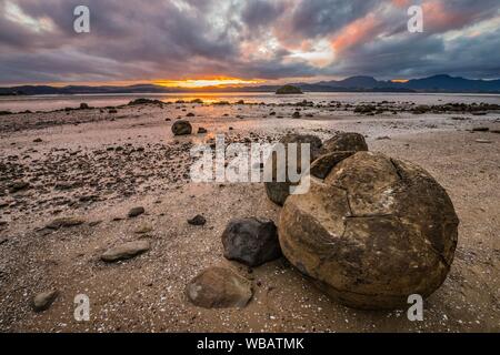 Koutu massi al tramonto, Opononi, estremo Nord distretto, Norhland, Isola del nord, Nuova Zelanda Foto Stock