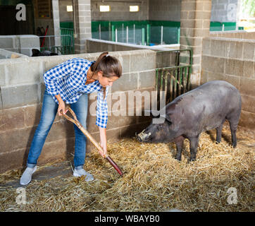 Ritratto di donna agricoltore alimentando i suini di razza iberica in agriturismo Foto Stock