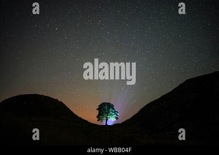 Un fotografo linee fino un colpo su una chiara notte sotto la Via Lattea a Sycamore spazio sulla parete di Adriano in Northumberland, reso famoso per la sua parte nel 1991 Kevin Costner film Robin Hood Principe dei ladri. Foto Stock