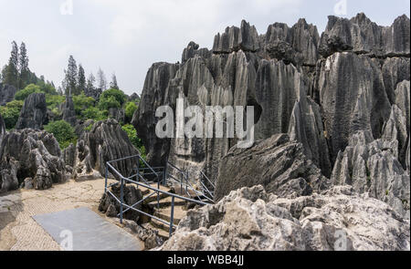 Visita alla Foresta di Pietra, Kunming, nella provincia dello Yunnan in Cina. Formazioni calcaree situate nel Shilin Yi contea autonoma.presa il 8 agosto 2019. Foto Stock