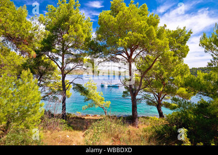 La baia Telascica parco naturale destinazione yachting di Dugi otok, Dalmazia, Croazia Foto Stock