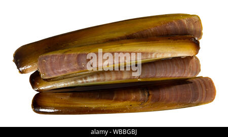 Antipasti a base di pesce. Crudo fresco di molluschi razorshell (ensis) in gusci. Isolato su sfondo bianco Foto Stock