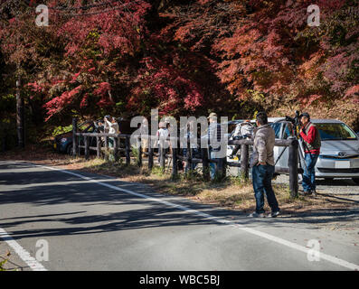 La linea dei fotografi di catturare i colori dell'autunno, Kawaguchi, Giappone Foto Stock