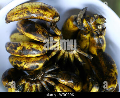 Overriped marrone e giallo piccola signora del dito baby banane su una piastra bianca Foto Stock