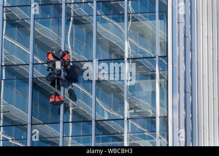 Due uomini che si abbellono o si abbellono e lavorano su una tenda di vetro all'esterno di una nuova torre per uffici a più piani a Sydney, Australia Foto Stock