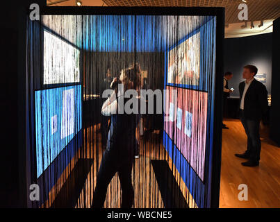 Weimar, Germania. 26 Ago, 2019. Una donna fotografa la video installazione nella mostra "Abenteuer der Vernunft. Goethe e le scienze naturali intorno 1800'. Tra le altre cose, la KLassik Foundation sta mostrando 400 oggetti da Goethe la propria collezione scientifica di 23.000 animali e i preparati a base di piante e minerali e dispositivi sperimentali da Johann Wolfgang von Goethe la propria scienza naturale la raccolta in mostra, che può essere visto presso il Museo di Schiller Weimar dal 27 agosto al 5 gennaio. Credito: Martin Schutt/dpa-Zentralbild/dpa/Alamy Live News Foto Stock