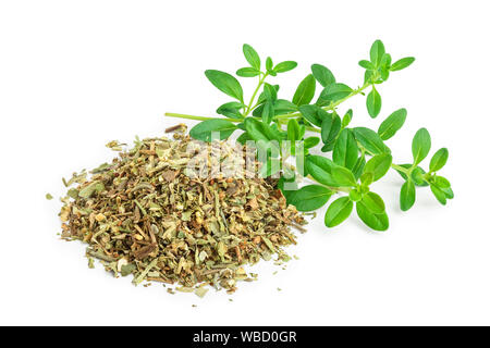 Verde con timo essiccato di foglie di timo isolati su sfondo bianco close up Foto Stock