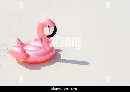 Fenicottero rosa su una sabbiosa spiaggia del mare Foto Stock