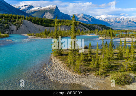 Blue River Valley - una molla vista al tramonto della Valle Nord del Fiume Saskatchewan, il Parco Nazionale di Banff, AB, Canada. Foto Stock