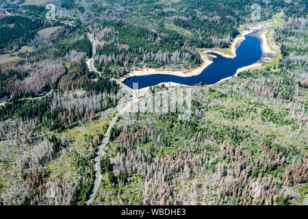 22 agosto 2019, Bassa Sassonia, Oderbrück: Vista del Parco Nazionale di Harz in parte con abeti morti. Molti alberi nel Harz sono morti da tempeste, calore e gli scolitidi. I proprietari di foreste hanno bisogno di supporto contro danni causati dalle tempeste e siccità, secondo il Niedersächsische Landesforsten. Foto: Swen Pförtner/dpa Foto Stock