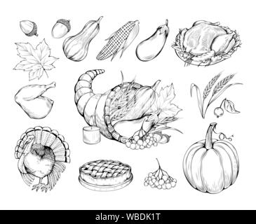 Ringraziamento disegnati a mano i simboli vettoriali set. Alimenti naturali, verdure e piatti tradizionali disegna le illustrazioni. Mercato degli Agricoltori. La zucca, la Turchia il pollo cotto e torta disegni monocromatici pack Illustrazione Vettoriale