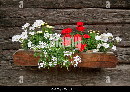 In legno tipico vaso di fiori in cascina, Val d'Ultimo (Val d Ultimo),  Bolzano, Trentino Alto Adige, Italia Foto stock - Alamy