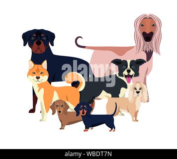 Set di adorabili cani su sfondo bianco Illustrazione Vettoriale