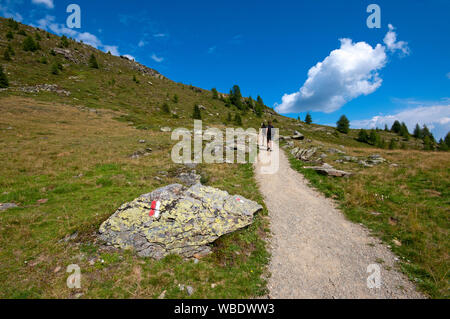 Escursioni a piedi lungo il sentiero panoramico in area Schwemmalm, Val d'Ultimo (Val d Ultimo), Bolzano, Trentino Alto Adige, Italia Foto Stock