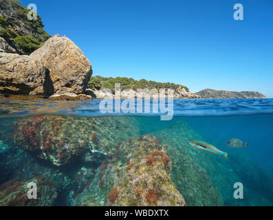 Selvatica costa rocciosa in Spagna sulla Costa Brava, il mar Mediterraneo, la vista suddivisa al di sopra e al di sotto della superficie dell'acqua, rose, Cap de Creus, la Catalogna Foto Stock