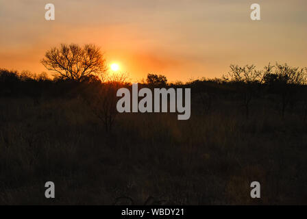 Il sole tramonta su paesaggio africano nella Provincia di Limpopo del Sud Africa Foto Stock