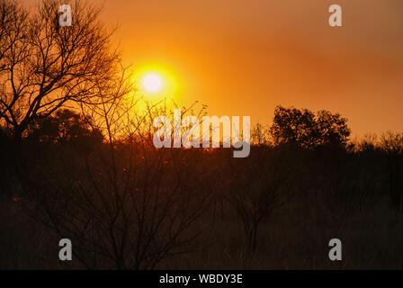 Il sole tramonta su paesaggio africano nella Provincia di Limpopo del Sud Africa Foto Stock