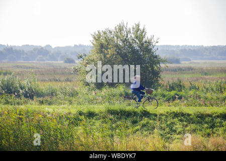 Persona che guida la bicicletta in un parco verde e natura paesaggio nei Paesi Bassi Foto Stock