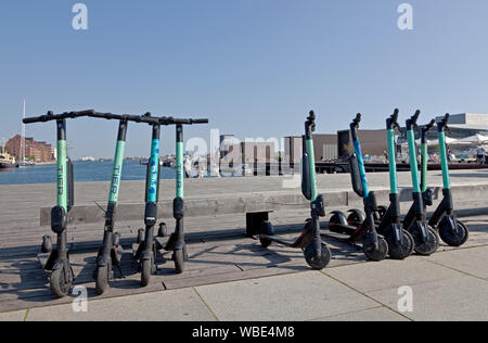 Fila di E-scooter da TIER società per il noleggio di Copenaghen del porto interno a Larsens Plads, Ofelia, Foto Stock