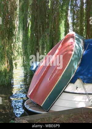 Al riparo sotto un grande salice piangente albero, un piccolo cabinato, un Starley Sundowner, è ormeggiato sulle rive del fiume Tamigi in Cookham. Foto Stock