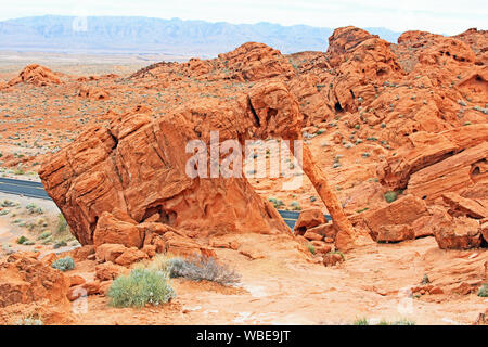 Elephant Rock nella Valle del Fuoco SP, Nevada Foto Stock