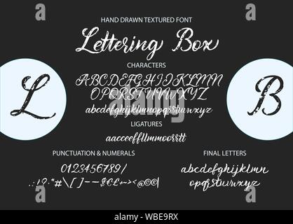 Carino disegnato a mano alfabeto vettore ABC font con disegnati a mano textured lettere, numeri e simboli. Per la calligrafia, scritte, fatto a mano preventivi. Illustrazione Vettoriale