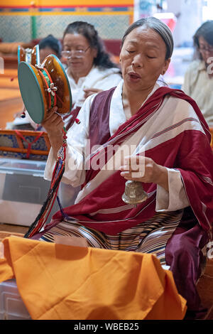 Un devoto buddista Nepalese donna orante in un tempio mentre il terminale voce squilla una campana e la rotazione di un tamburo damaru. In Elmhurst, Queens, a New York City. Foto Stock