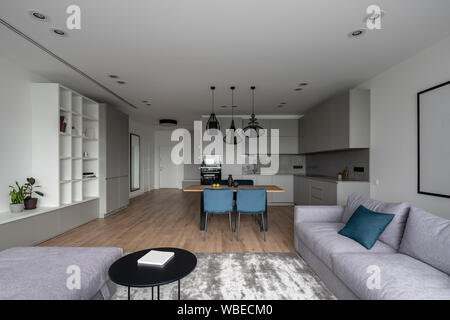 Arredamento moderno con una zona cucina e un parquet con tappeti sul pavimento. Ci sono tavoli e sedie, forno, fornelli, lavello, appeso in vimini lampade nero, s Foto Stock