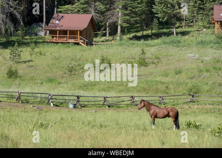 Cavallo e log cabin a Minam River Lodge in Oregon Wallowa della montagna. Foto Stock